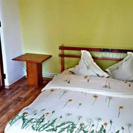 Vila Arina Navodari