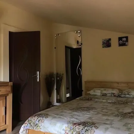 Holiday home Vila Arina Navodari